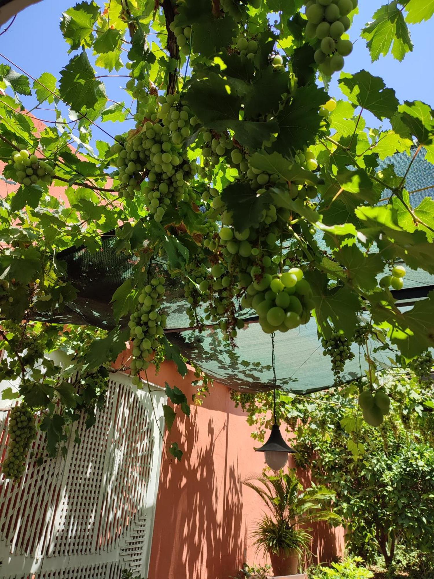 Tavira Townhome With Private Garden Dış mekan fotoğraf